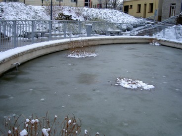 Jardin aquatique sous les glaces