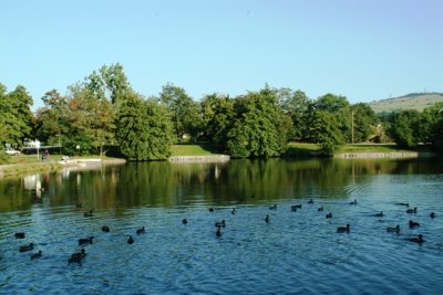Bassins du parc des Blondières