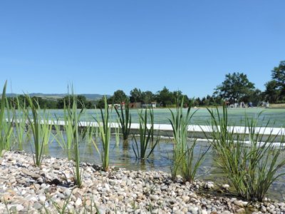 Plan d’eau de baignade de Lorette